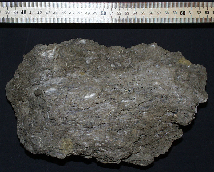 Extinct Carbonate Sample 3651-0938 from 2000