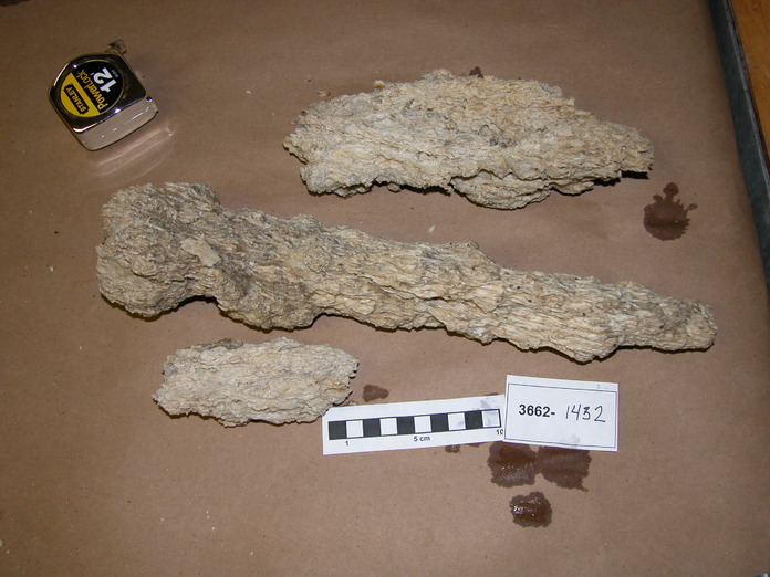 Extinct Carbonate Rock Sample 3862-1432