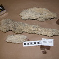 Extinct Carbonate Rock Sample 3862-1432