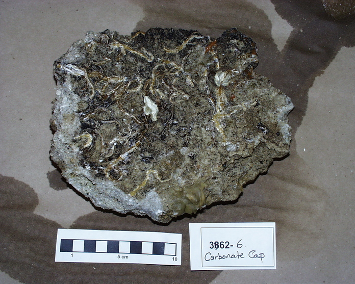 Carbonate Cap 3862-1549