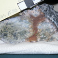 Mylonitic Serpentinite Cut 3863-1240