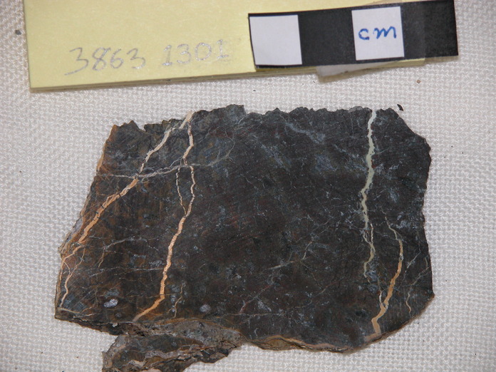 Massive Serpentinite with Carb Veins Cut 3863-1301