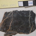 Massive Serpentinite with Carb Veins Cut 3863-1301