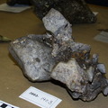 Basaltic Clast 3863-1403