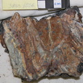 Mylonitic Serp with Chrysotile Veins Cut 3863-1526