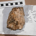 Bioclast Limestone and Shell Clasts 3863-1811