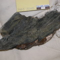 Mylonitic Serpentinite Cut 3865-1245 