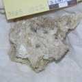 Vent Vein in Serpintinite and Breccia Ct 3865-1322