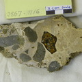 Basaltic Frags in Yellow Matrix Cut 3867-1116