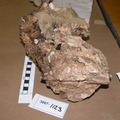 Limestone Carbonate 3867-1123