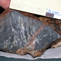 Mylonitic Gabbro with Metasomatism Cut 3867-1253