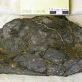 Deformed Coarse-Grained Gabbro Cut 3869-1126