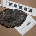 Mylonitic Serpentinite 3869-1220