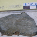 Mylonitic Serpentinite Cut 3869-1220