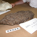 Elongated Oval Sample 3871-1512