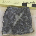 Serpentine Sample Cut 3872-1136