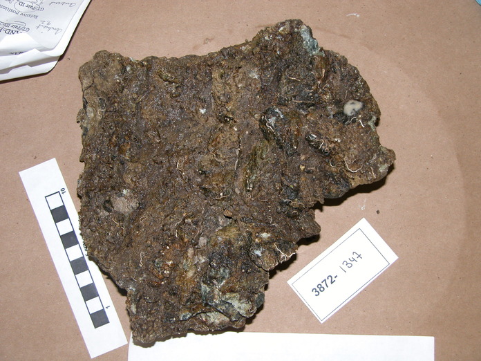 Carbonate Breccia with Lithic Frags 3872-1347