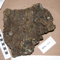Carbonate Breccia with Lithic Frags 3872-1347