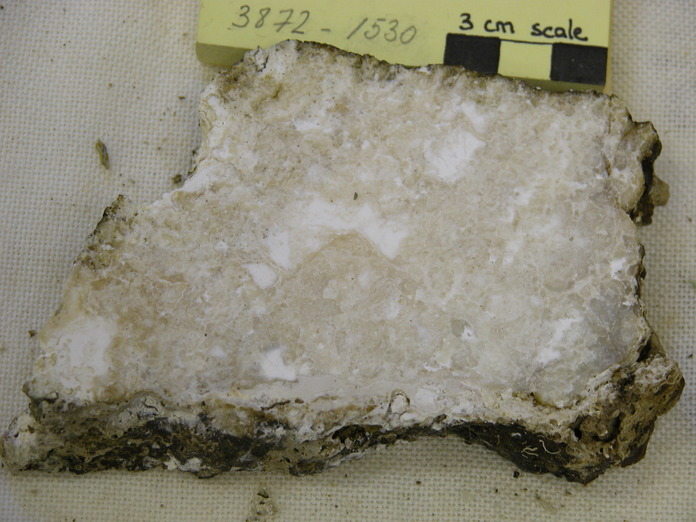 Carbonate Sample Cut 3872-1530