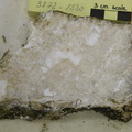 Carbonate Sample Cut 3872-1530