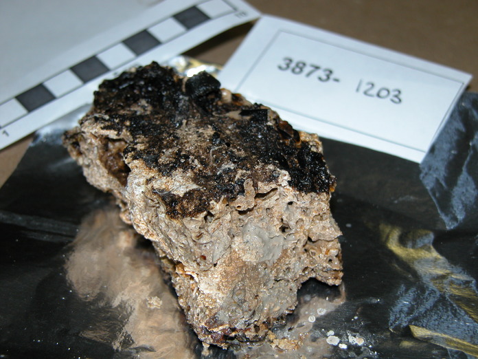 Carbonate Limestone 3873-1203