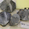 Pegmatite Gabbro-Norite with Serp Cut 3873-1216
