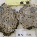 Carb Breccia with Serp Clasts Cut 3873-1343