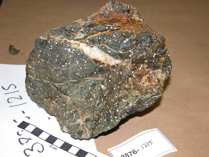 Net-Veined Gabbro 3876-1215