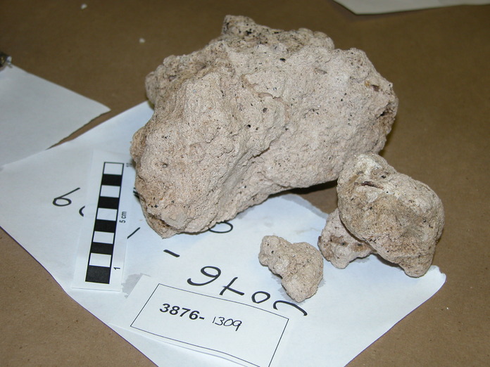 Sedimentary Carbonate 3876-1309