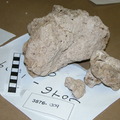 Sedimentary Carbonate 3876-1309