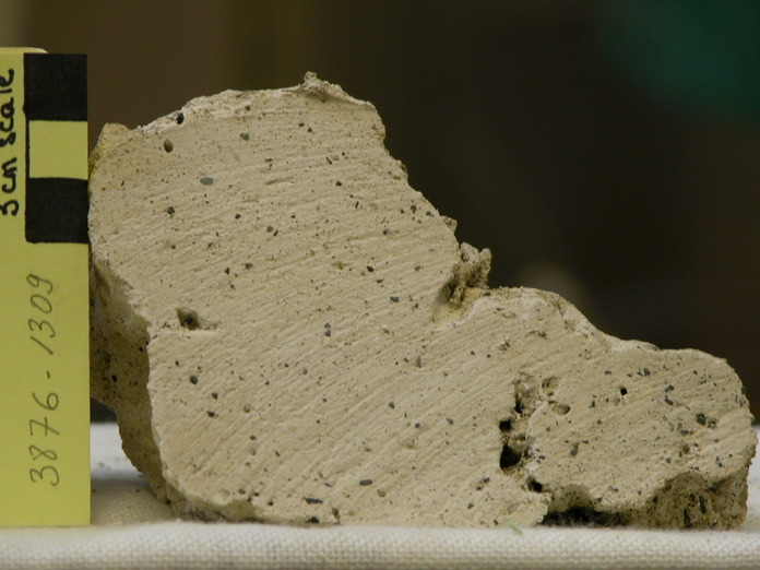 Sedimentary Carbonate Cut 3876-1309