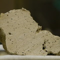 Sedimentary Carbonate Cut 3876-1309