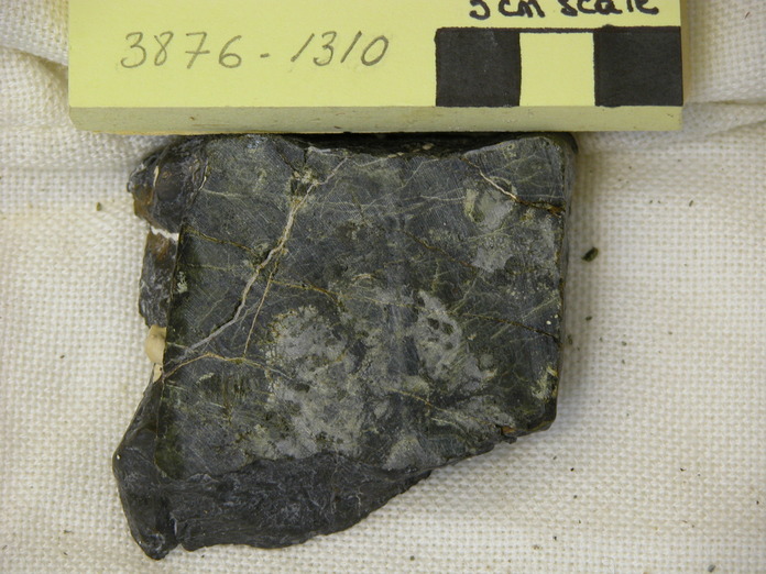 Serpentinite – Porphyroclastic Harz Cut 3876-1310