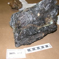 Serpentinite wit Talc-Tremolite Vein 3877-1158 