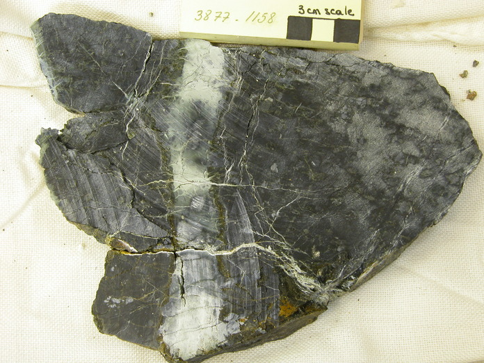 Serpentinite wit Talc-Tremolite Vein Cut 3877-1158