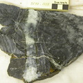 Serpentinite wit Talc-Tremolite Vein Cut 3877-1158
