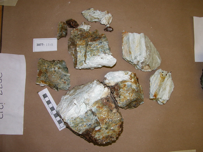 Serp and Talc Schist 3877-1313 