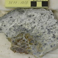 Serp and Talc Schist Cut 3877-1313 