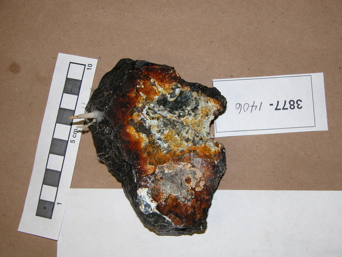 Porphyroclastic Harzburgite 3877-1406