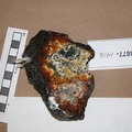 Porphyroclastic Harzburgite 3877-1406