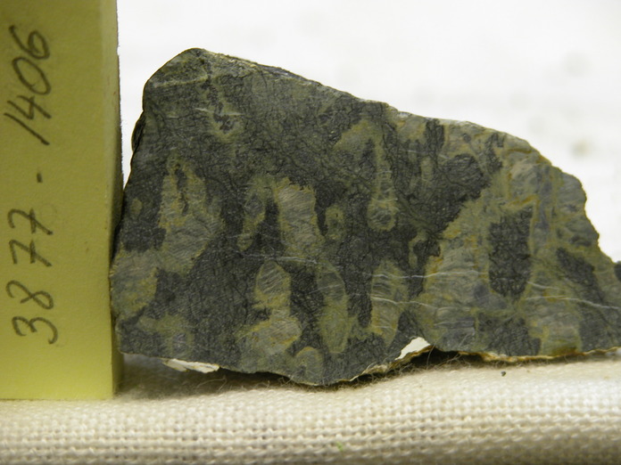 Porphyroclastic Harzburgite Cut 3877-1406