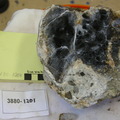 Serpentinite Breccia Cut 3880-1201