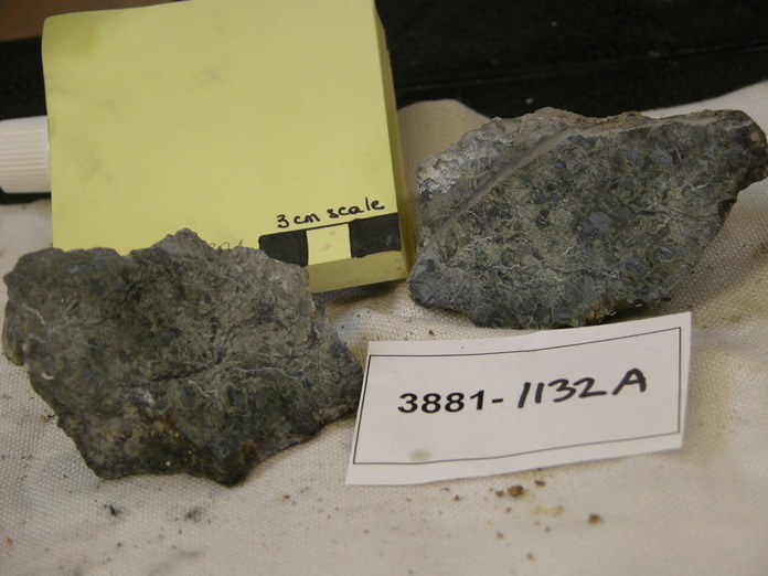 Serpentinite Sample Cut 3881-1132A