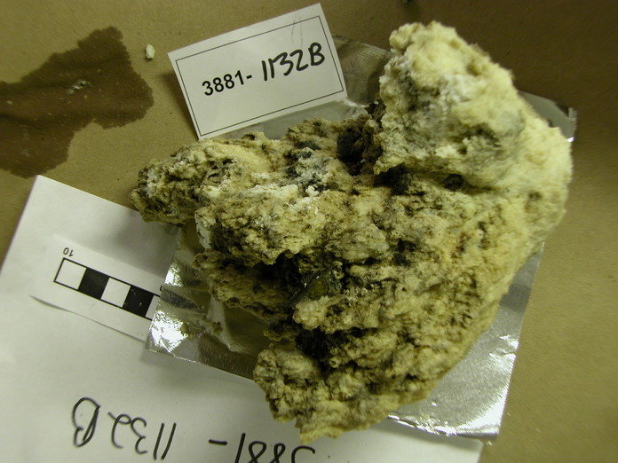 Carbonate Structure near Serp 3881-1132B