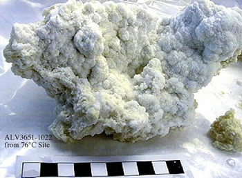 Carbonate chimney sample from 2000 discovery dive Carbonate chimney sample from 2000 discovery dive