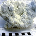 Carbonate chimney sample from 2000 discovery dive