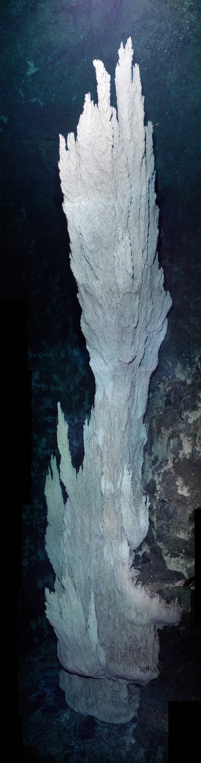 Carbonate chimney growing from serpentinite cliff